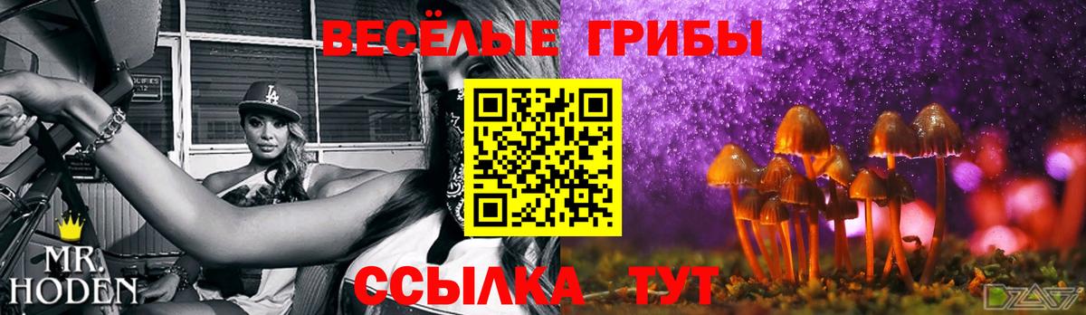Галлюциногенные грибы MAGIC MUSHROOMS  купить закладку  Вход с VPN  Балахна  Псилоцибиновые грибы мухоморы 